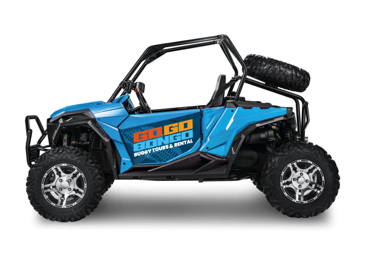 Go Go Buggy