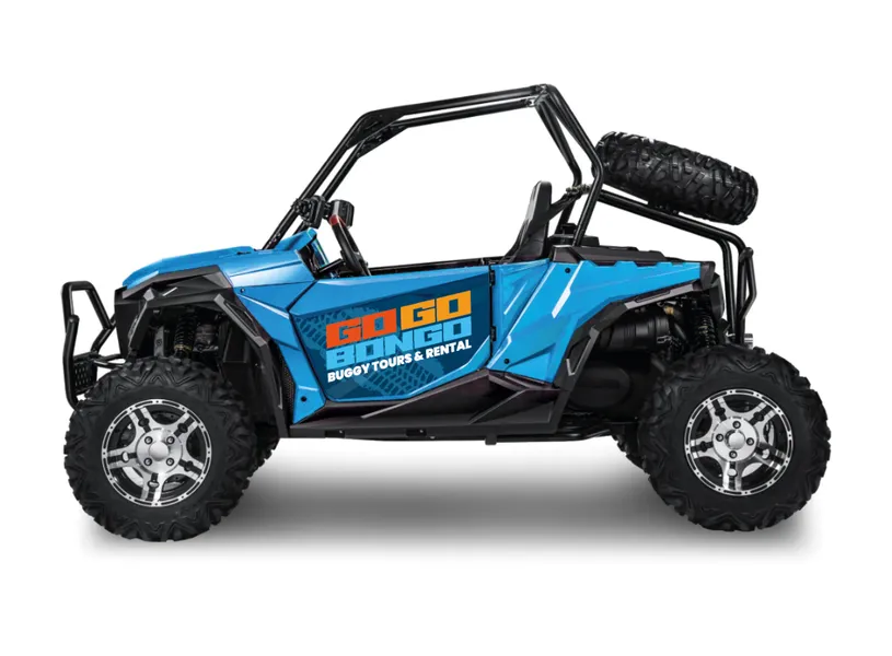 Go Go Buggy